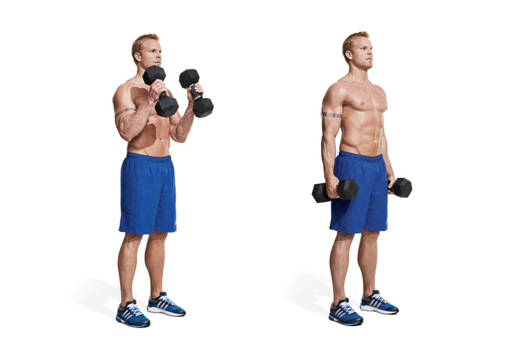 How to do a Dumbbell Biceps Curl