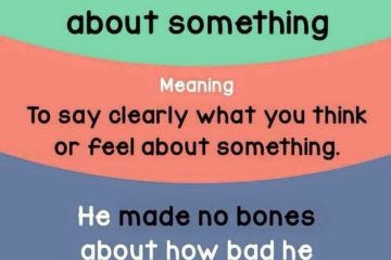 English Vocabulary Lesson – To make no bones