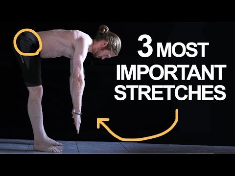 The 3 Most Important Stretches for Movement